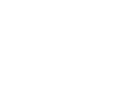 Icon Exosklette Implementierung